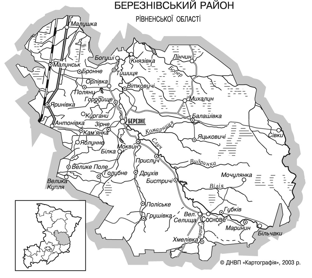 Березнівський район